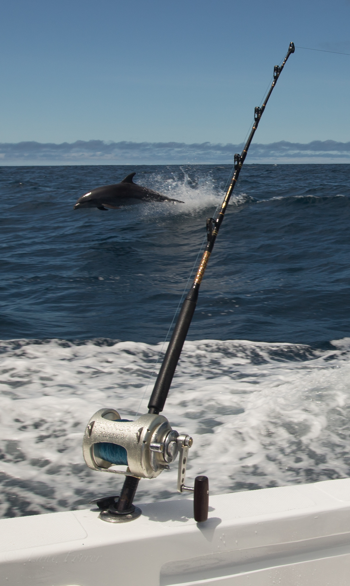 Galapagos Heavy Tackle Fishing Charters – Tesoro Galapagos